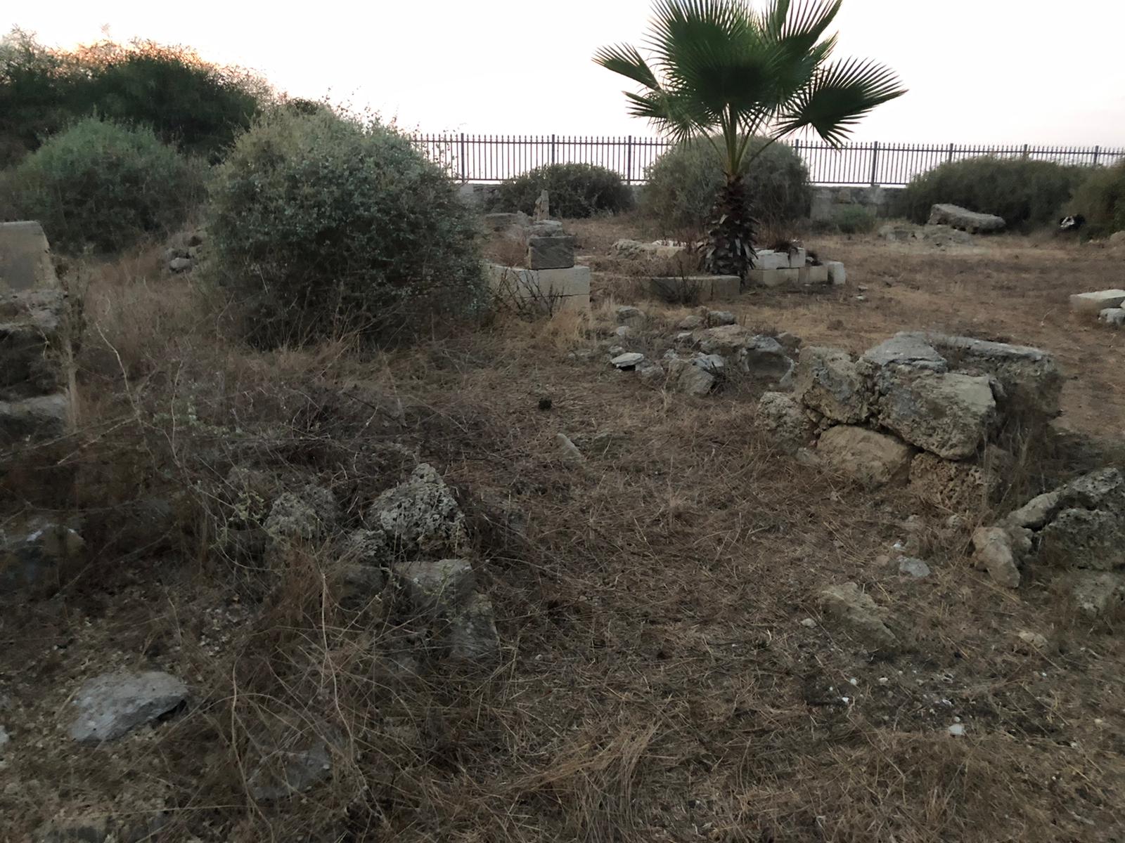 WhatsApp Image 2020-12-03 at 5.57.06 AM (1).jpeg.jpeg